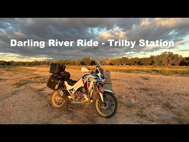 Darling River Ride 1 -  Trilby Station