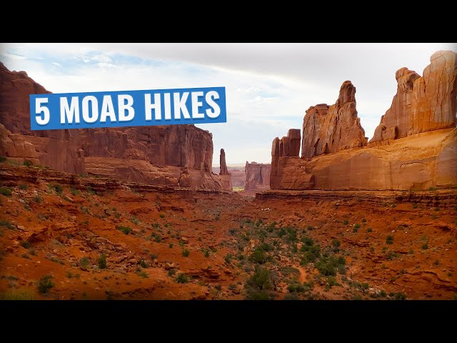 Best Hikes in Moab! [Arches National Park and Canyonlands National Park]