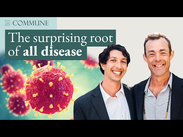 The SURPRISING Root of All Disease Revealed in Under 30 Minutes!