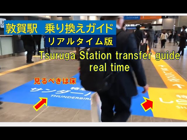【Tsuruga Station transfer guide】敦賀駅の乗り換え方法　実際に歩いた距離と時間