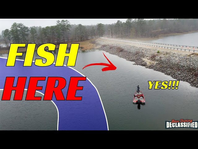 The BEST Place To Catch BASS With Crankbaits