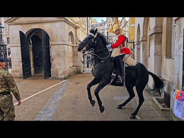 MELTDOWN! KING'S GUARD and ARMED POLICE hit the panic button as Horse quits at Horse Guards!