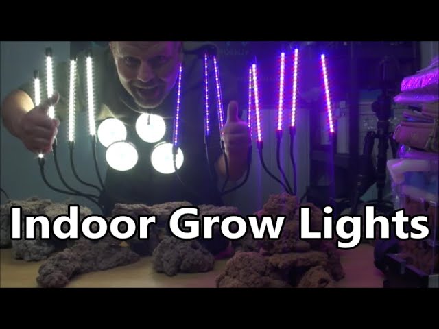 A Guide to Low Power USB Indoor Growing Lights - For Hydroponics etc.