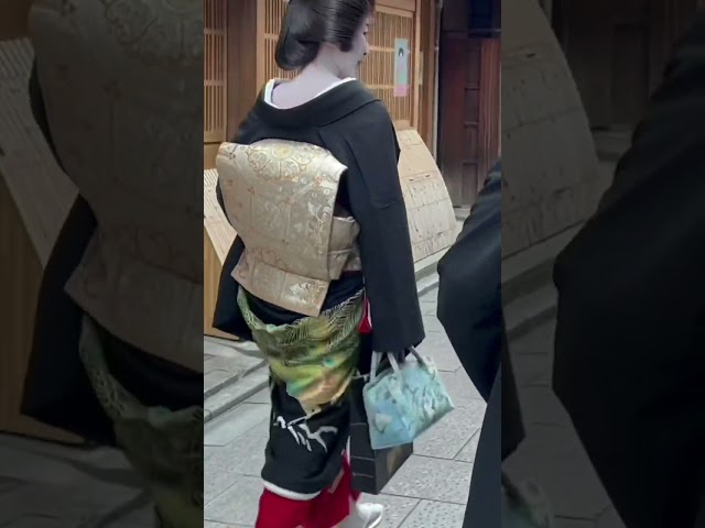 挨拶まわりをされる祇園の芸舞妓さん #京都 #舞妓
