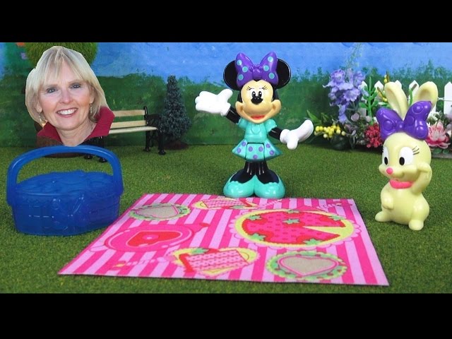 Minnie Mouse Pet Picnic