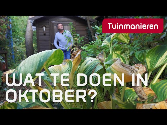 Wat te doen in oktober in de tuin | Herfst | Tuinmanieren