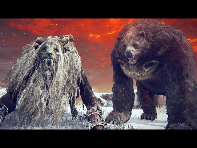 Can Lion Guardian defeat Runebear? Elden Ring NPC Battle