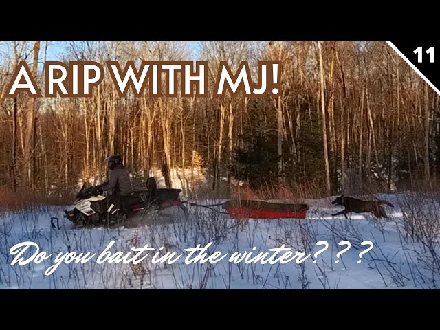 A Rip with MJ! - Do you bait in the winter? (11)