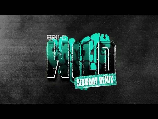 Bru-C - Wild (Slowboy Remix) [Official Visualiser]