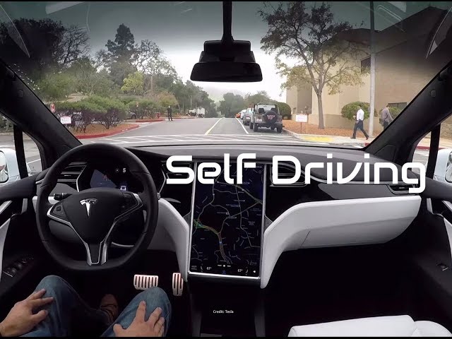 Self Driving Cars