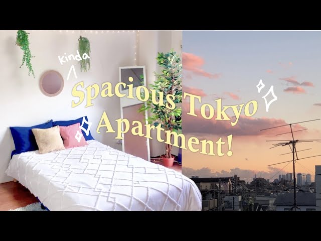 $730 Tokyo Apartment Tour! | 2DK
