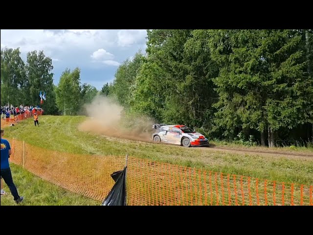 WRC Rally Estonia 2022 ss15