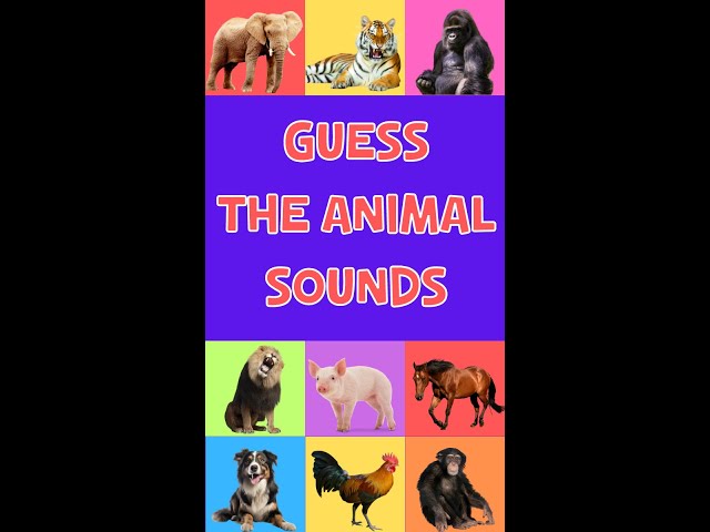 Guess The Animal Sound For Kids short#