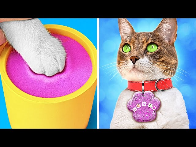 My Kitty Is Using A Toilet! 🚽😻 #pets #petlovers #funnycatvideos