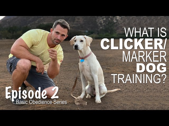 Clicker/Marker Dog Training - Episode 2