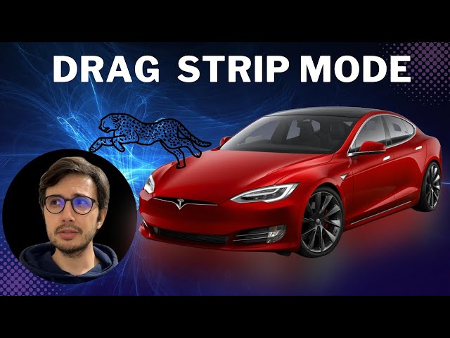 Tesla's Drag Strip Mode  - Cheetah Stance