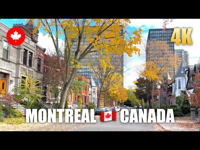 Montreal 🇨🇦 Canada Walking Tour (HDR 4K 60 PFS) Amazing City Virtual Tour in Authum 2022
