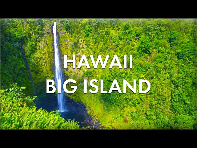 Big Island of Hawaii (Waimea, Waipio Valley, Akaka Falls!)