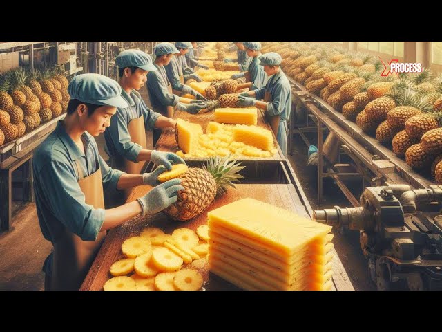 How MILLIONS of HONEY PINEAPPLES are Harvested And CANNED | (AMAZING PROCESS!)