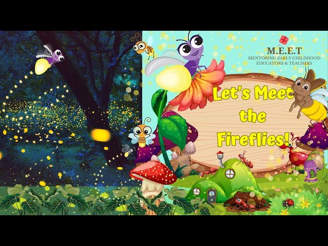 Let's Meet the fireflies | Firefly video for kids| EVS video on insects