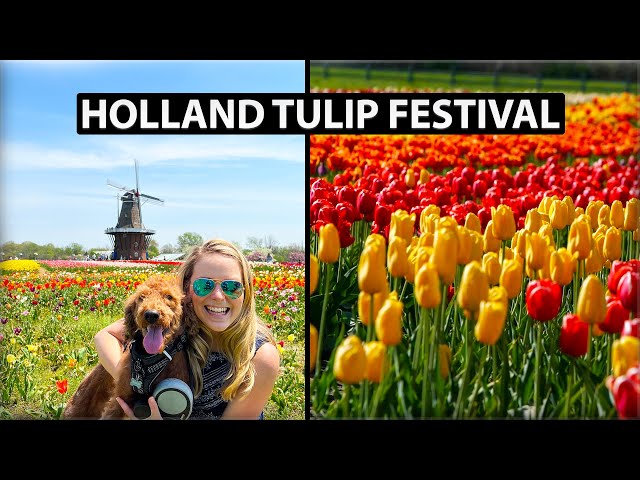 The Tulip Time Festival in Holland Michigan | Lake Michigan Circle Tour Day 1