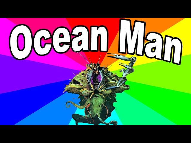 What Is Ocean Man? The history and origin of the ocean man song memes