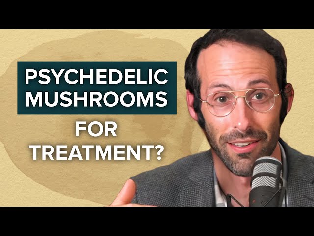 Are Shrooms For You? A Neuroscientist Explains
