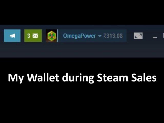 My Wallet During Steam Sales