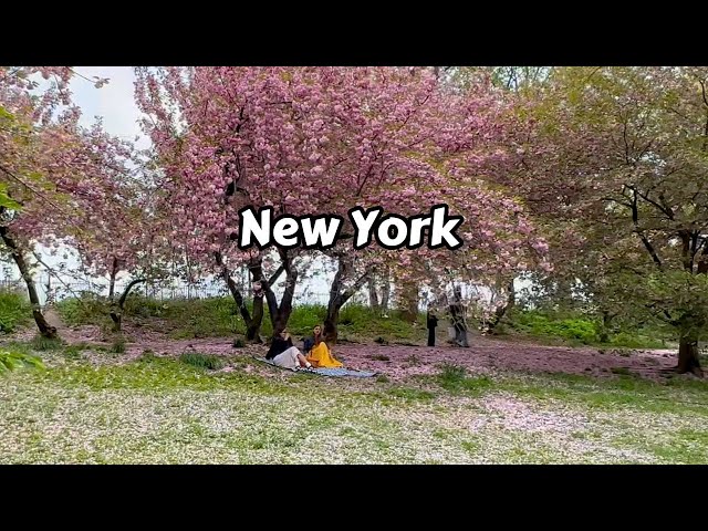 Manhattan New York Travel Usa 4k Video Walking Tour Central Park