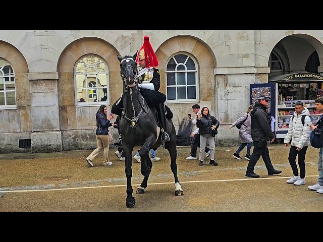 TOURISTS RUN AS POLICE KEEP PEOPLE BACK when this happens (again) at Horse Guards!