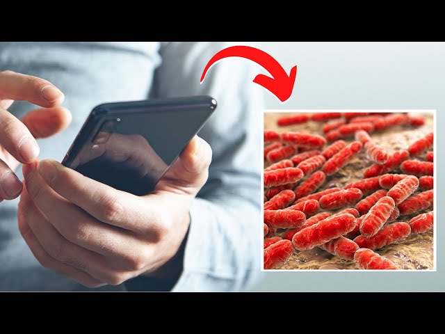Deadly Phone Bacteria Exposed: The Invisible Threat!