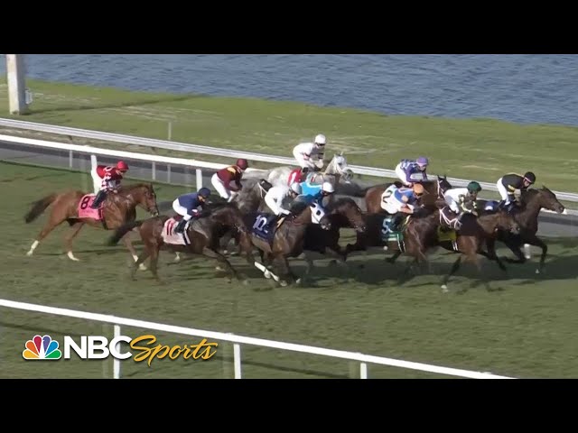 The Appleton Stakes 2024 (FULL RACE) | NBC Sports