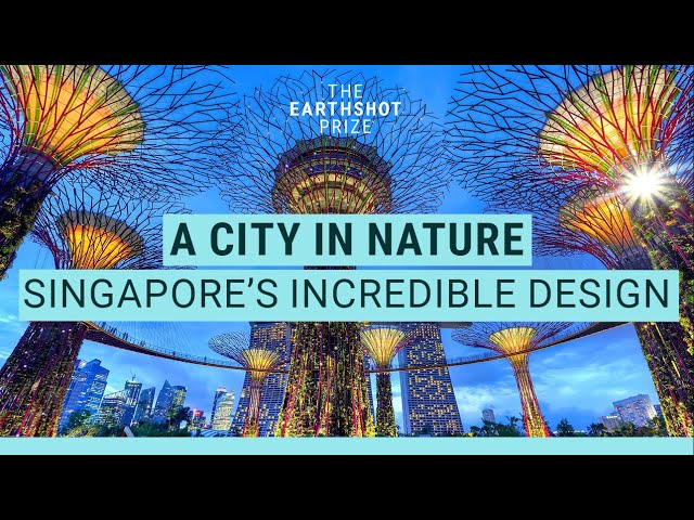 Why all cities should be designed like Singapore | The Earthshot Prize