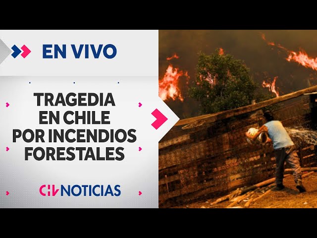 Tragedy in Chile due to forest fires ⚠️ CHV NOTICIAS EN VIVO 📲 4 de febrero 2024