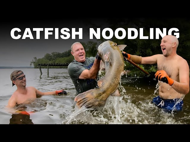 Catching Big Catfish by Hand - Learning how to Noodle Flatheads with Will Brantley