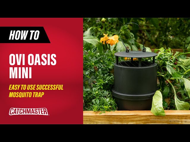Easy to Use Successful Mosquito Trap | Catchmaster Oasis Ovi-Mini Mosquitor Trap