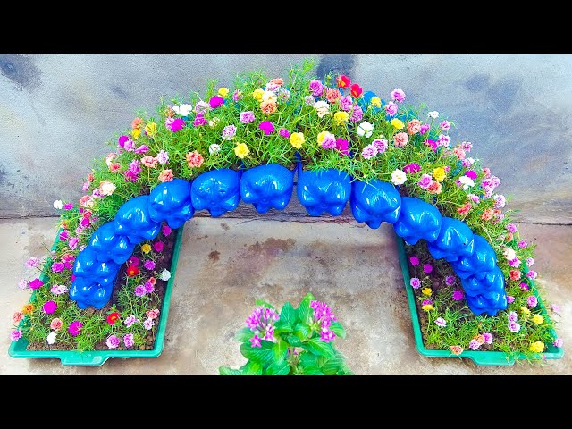 DIY a Beautiful Rainbow Arch Tower to Plant Moss Rose for Vacant Land | Garden Ideas