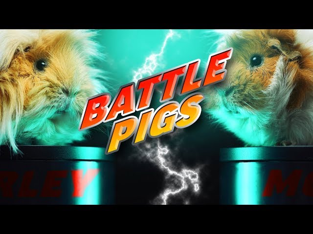 EPIC SHORT FILM - Battle Pigs - Canon 100mm on 1DX