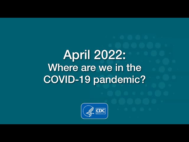 Where are we in the COVID-19 pandemic?