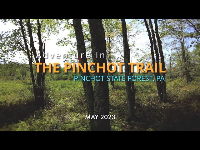 The Pinchot Trail (South Loop) - Pinchot State Forest - PA