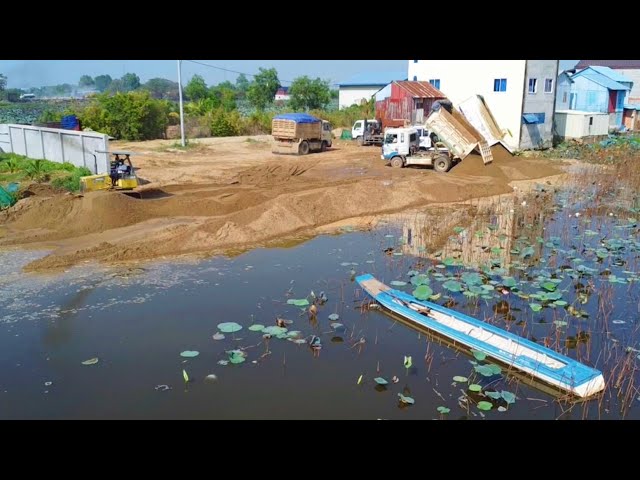 Amazing continue project! Wonderful skill Dozer D20P push sand &5Ton dump truck delivery delete lake