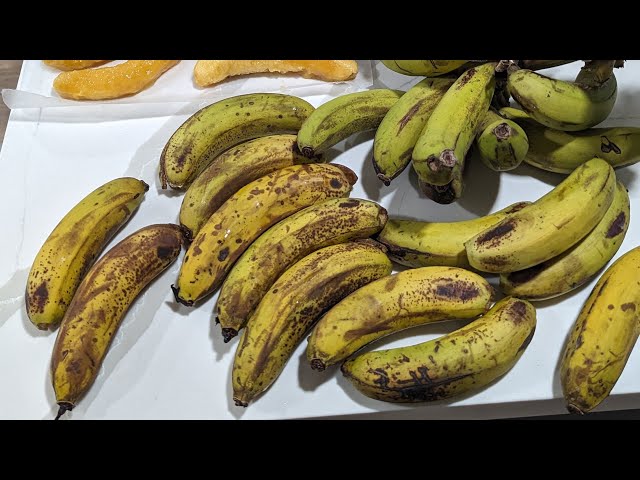 6 ways to use your backyard bananas and peels. Brilliant tip from @CortneysLittleGarden