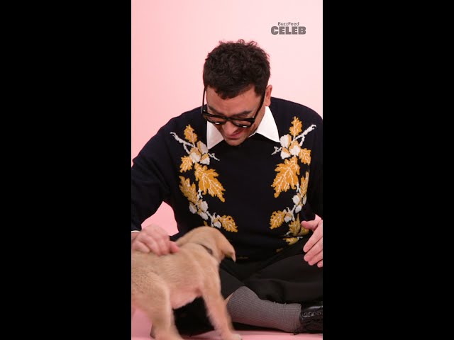 We can have a nice little nap together 🥹 #DanLevy #PuppyInterview