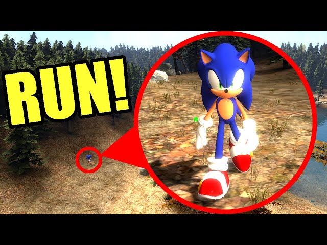 IF YOU SEE SONIC IN THE WOODS ALONE, RUN! FUN AND MADNESS IN Garry`s Mod