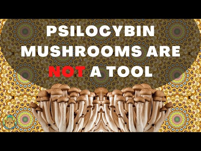 Psilocybin Mushrooms Are Not A Tool | James W Jesso