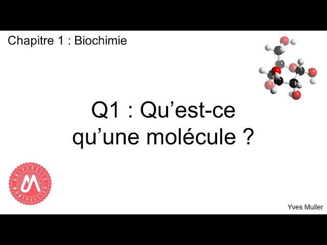 Chapitre 1 : Biochimie - Q1 : Qu'est-ce qu'une molécule ?