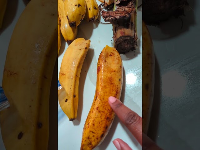 Backyard bananas - How I'm using the bunch I chopped down a couple weeks ago