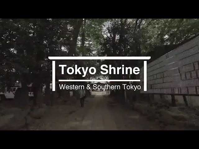 Tokyo Shrine #2　Western & Southern Tokyo × Worshipers