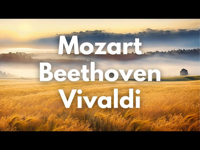 Classical Music Mix | Bach, Mozart, Vivaldi, Beethoven, Chopin