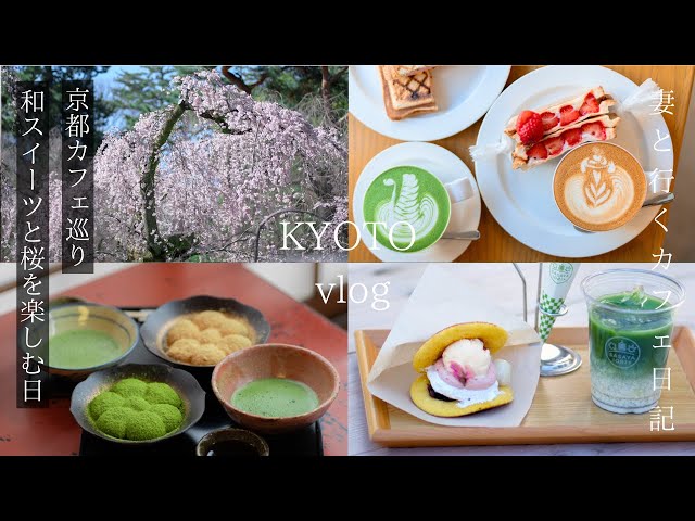[Kyoto Vlog] First cherry blossoms in full bloom this year/Kyoto cafe with queue/Kyoto trip